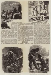 Literarische Illustrationen